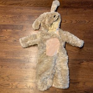 Pottery Barn Baby Goldendoodle